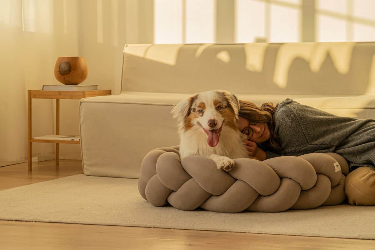 LIKE A DOG - Branding, identyfikacja wizualna,, sklep internetowy